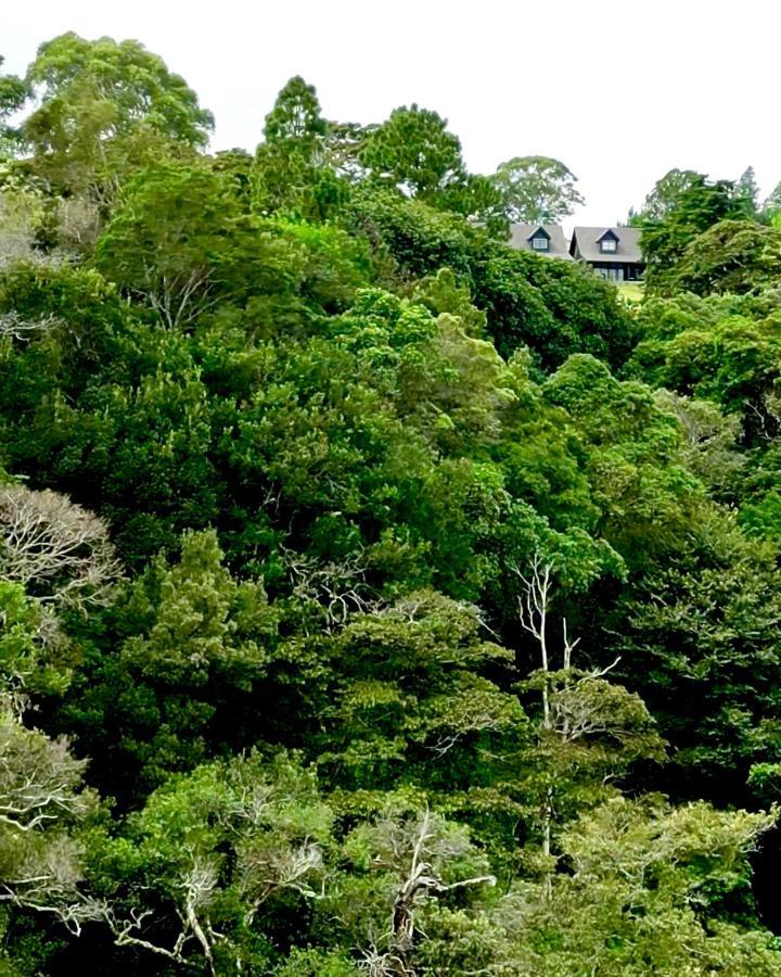 Risco De Hugo Boquete Exterior foto